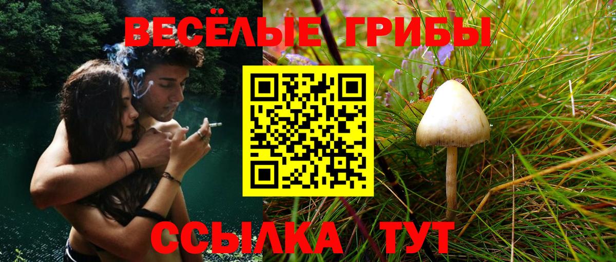 Псилоцибиновые грибы Psilocybine cubensis  Вход с VPN  Галлюциногенные грибы мухоморы  Лабытнанги 